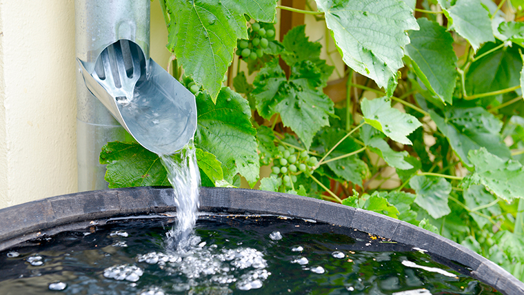 Récupération d'eau de pluie pour la maison